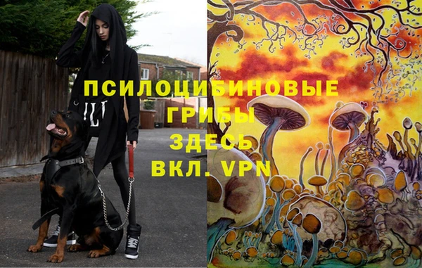 MESCALINE Алексеевка