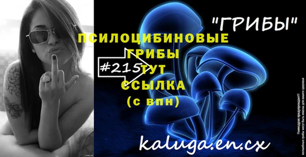 тгк Алексин